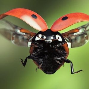 Meet your Posher, Macie